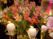 Cris Barbosa Decora��o para Eventos